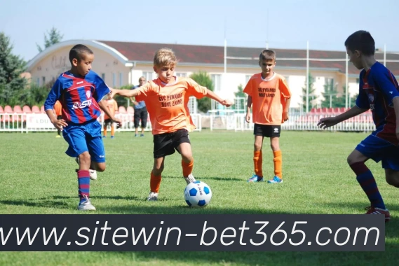 多媒体互动体验