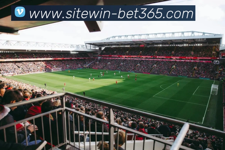 bet365APP 体育赛事宣传图